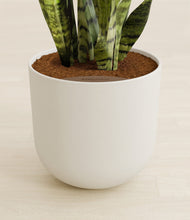 Load image into Gallery viewer, Natural Bamboo stand:all
