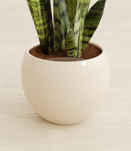 Load image into Gallery viewer, Shiny EggWhite stand:all
