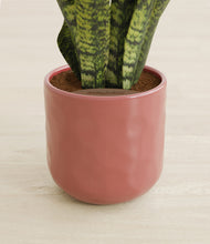 Load image into Gallery viewer, Hammered Rose Pink stand:all
