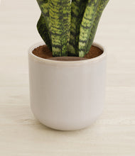 Load image into Gallery viewer, Snowdrift White stand:all
