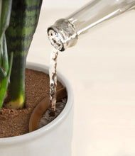 Load image into Gallery viewer, Hammered Ivory stand:all
