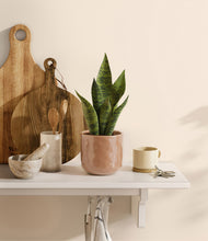 Load image into Gallery viewer, Hammered Peach Pink
