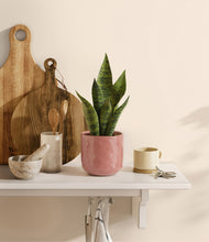 Load image into Gallery viewer, Hammered Rose Pink
