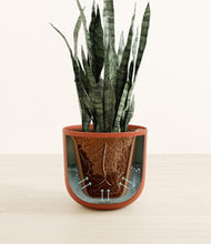 Load image into Gallery viewer, Earth Red stand:all
