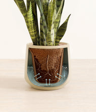 Load image into Gallery viewer, Almond Green stand:all
