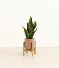 Load image into Gallery viewer, Hammered Peach Pink stand:bamboo
