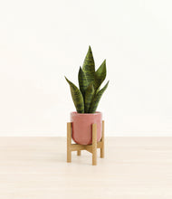 Load image into Gallery viewer, Hammered Rose Pink stand:bamboo
