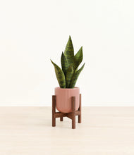 Load image into Gallery viewer, Striped Rose Pink stand:walnut
