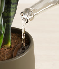 Load image into Gallery viewer, Olive stand:all
