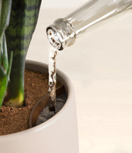 Load image into Gallery viewer, Twilight Glow
