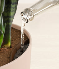 Load image into Gallery viewer, Sandy Pink stand:all
