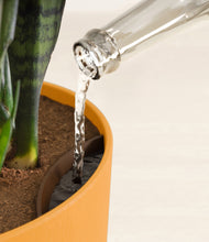 Load image into Gallery viewer, Sunset Orange stand:all
