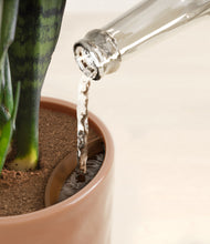 Load image into Gallery viewer, Hammered Peach Pink stand:all
