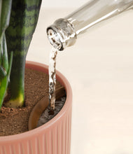 Load image into Gallery viewer, Striped Rose Pink stand:all
