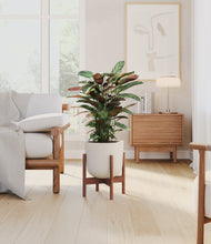 Load image into Gallery viewer, Natural Bamboo stand:walnut
