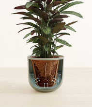 Load image into Gallery viewer, Sage Green stand:all
