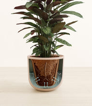Load image into Gallery viewer, Sandy Pink stand:all
