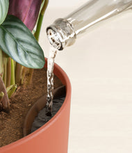 Load image into Gallery viewer, Earth Red stand:all
