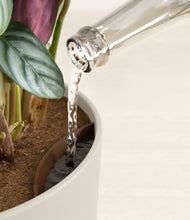 Load image into Gallery viewer, Natural Bamboo stand:all
