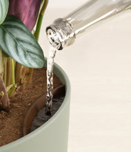 Load image into Gallery viewer, Sage Green stand:all
