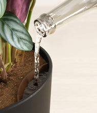 Load image into Gallery viewer, Stone Black stand:all
