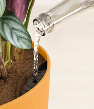 Load image into Gallery viewer, Sunset Orange stand:all
