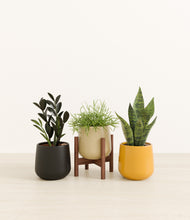 Load image into Gallery viewer, Fall*****Profile
