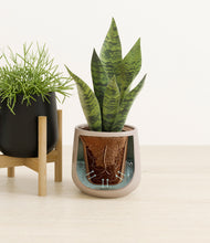 Load image into Gallery viewer, Twilight Glow
