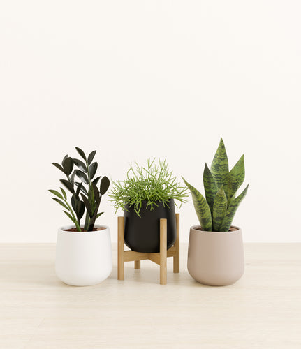 Twilight Glow*****Profile