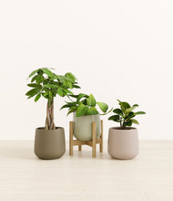 Load image into Gallery viewer, Earthy stand:one_stand
