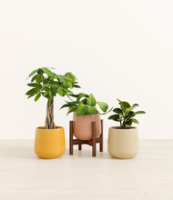 Load image into Gallery viewer, Evening Sky stand:one_stand
