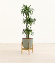 Load image into Gallery viewer, Sage Green stand:bamboo
