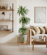 Load image into Gallery viewer, Sage Green stand:bamboo
