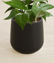 Load image into Gallery viewer, Black stand:all
