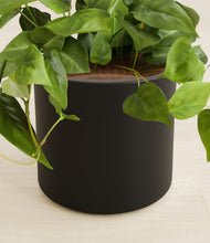 Load image into Gallery viewer, Black stand:all
