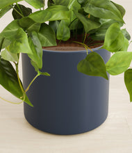 Load image into Gallery viewer, Deep Navy stand:all
