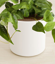 Load image into Gallery viewer, White stand:all
