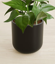 Load image into Gallery viewer, Stone Black stand:all
