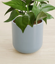 Load image into Gallery viewer, Misty Blue stand:all
