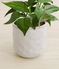 Load image into Gallery viewer, Hammered Ivory stand:all
