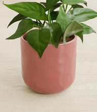 Load image into Gallery viewer, Hammered Rose Pink stand:all
