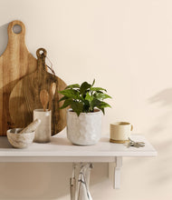 Load image into Gallery viewer, Hammered Ivory
