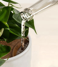 Load image into Gallery viewer, Hammered Ivory stand:all
