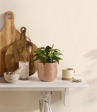 Load image into Gallery viewer, Hammered Peach Pink
