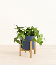 Load image into Gallery viewer, Deep Navy stand:bamboo
