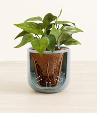 Load image into Gallery viewer, Misty Blue stand:all
