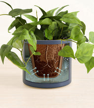 Load image into Gallery viewer, Deep Navy stand:all
