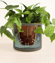 Load image into Gallery viewer, Dark Olive stand:all
