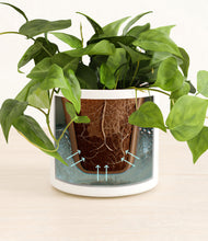 Load image into Gallery viewer, White stand:all
