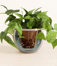 Load image into Gallery viewer, Winter Clouds stand:all
